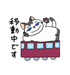 ぽっちゃりポーちゃん（個別スタンプ：39）