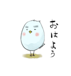 薄い鳥（個別スタンプ：1）