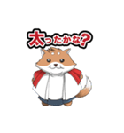 しばぞうの日常（個別スタンプ：13）