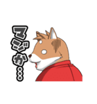 しばぞうの日常（個別スタンプ：17）