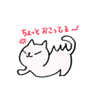 mame is a cat（個別スタンプ：4）