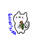 mame is a cat（個別スタンプ：33）