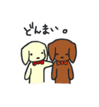 二匹のダックス（個別スタンプ：10）