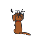 二匹のダックス（個別スタンプ：11）