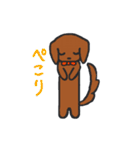 二匹のダックス（個別スタンプ：23）
