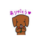 二匹のダックス（個別スタンプ：24）