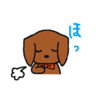 二匹のダックス（個別スタンプ：28）