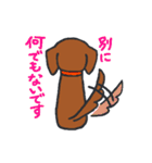 二匹のダックス（個別スタンプ：33）