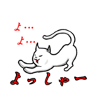 雑貨スタンプ 猫のPちゃん（個別スタンプ：11）
