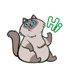 Pao Pao「太った猫」（個別スタンプ：1）