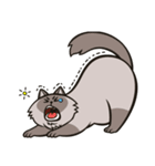 Pao Pao「太った猫」（個別スタンプ：2）