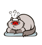 Pao Pao「太った猫」（個別スタンプ：16）