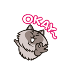 Pao Pao「太った猫」（個別スタンプ：24）