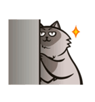 Pao Pao「太った猫」（個別スタンプ：29）