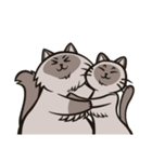 Pao Pao「太った猫」（個別スタンプ：35）