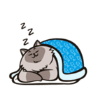 Pao Pao「太った猫」（個別スタンプ：40）