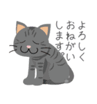 ねこ＋なにか・・・（個別スタンプ：1）