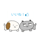 ワヌとミャア（個別スタンプ：39）