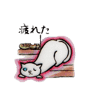ひょうきんねこちゃん（個別スタンプ：30）