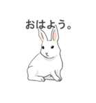 いろいろ動物スタンプ（個別スタンプ：1）