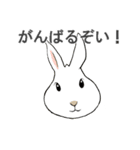 いろいろ動物スタンプ（個別スタンプ：2）