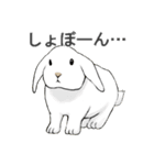 いろいろ動物スタンプ（個別スタンプ：3）
