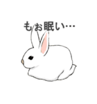 いろいろ動物スタンプ（個別スタンプ：4）
