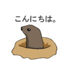 いろいろ動物スタンプ（個別スタンプ：7）