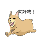いろいろ動物スタンプ（個別スタンプ：10）