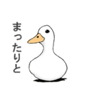 いろいろ動物スタンプ（個別スタンプ：13）