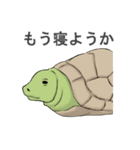 いろいろ動物スタンプ（個別スタンプ：16）