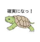 いろいろ動物スタンプ（個別スタンプ：17）