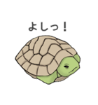 いろいろ動物スタンプ（個別スタンプ：18）