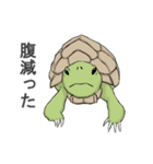 いろいろ動物スタンプ（個別スタンプ：19）