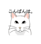 いろいろ動物スタンプ（個別スタンプ：21）