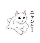 いろいろ動物スタンプ（個別スタンプ：22）
