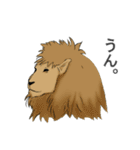 いろいろ動物スタンプ（個別スタンプ：25）