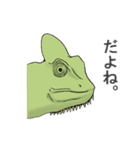 いろいろ動物スタンプ（個別スタンプ：30）