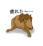 いろいろ動物スタンプ（個別スタンプ：38）