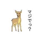 いろいろ動物スタンプ（個別スタンプ：39）