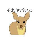 いろいろ動物スタンプ（個別スタンプ：40）