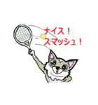 チワワん♪4(テニス)（個別スタンプ：17）