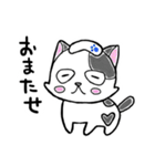 路地裏の猫のシロ（個別スタンプ：1）