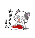 路地裏の猫のシロ（個別スタンプ：2）