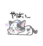 路地裏の猫のシロ（個別スタンプ：8）
