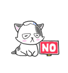 路地裏の猫のシロ（個別スタンプ：13）