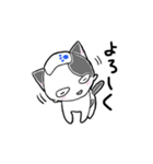 路地裏の猫のシロ（個別スタンプ：19）