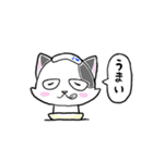 路地裏の猫のシロ（個別スタンプ：20）