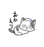 路地裏の猫のシロ（個別スタンプ：22）