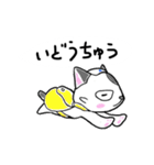 路地裏の猫のシロ（個別スタンプ：29）